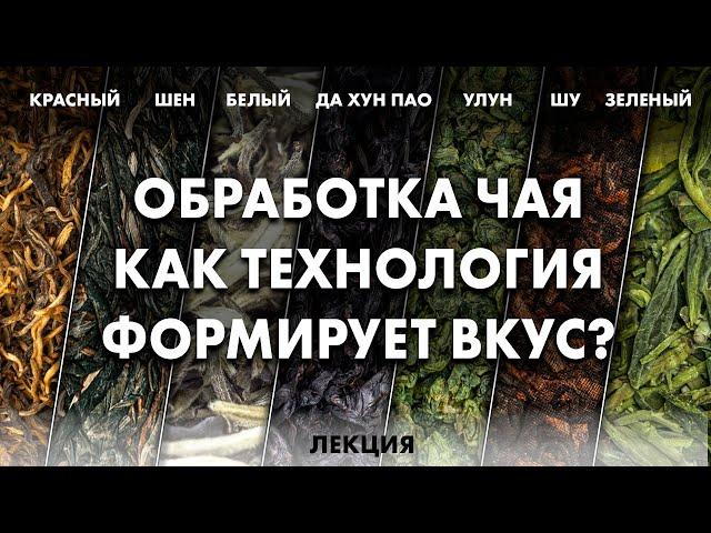 Почему чай разный? Технология производства китайского чая | Art of Tea + Елена Иванова