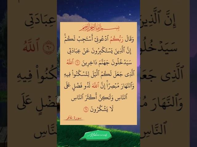 آيات من الذكر الحكيم