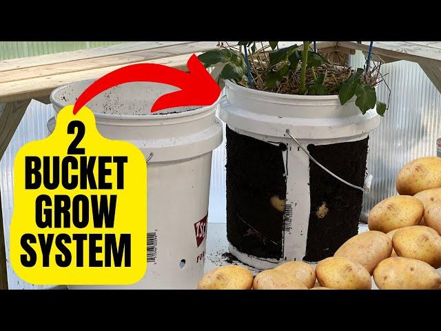 How To Grow Potatoes In 5 Gallon Buckets For Beginners (Self Watering)