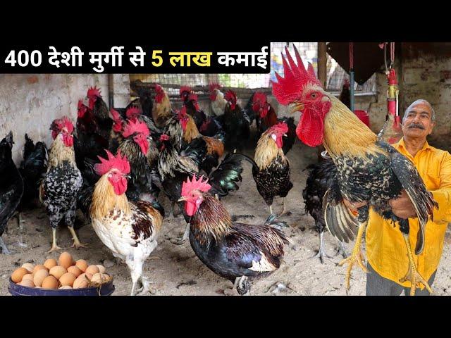 Good profit in Desi Poultry Farming | Desi Poultry Farm Business Plan | Desi Poultry Farming