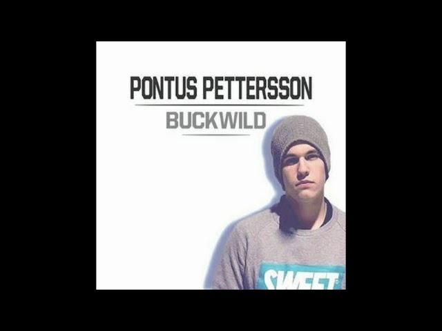 Pontus Petterson - Buckwild (Pewdiepie Congratulations Original Song)