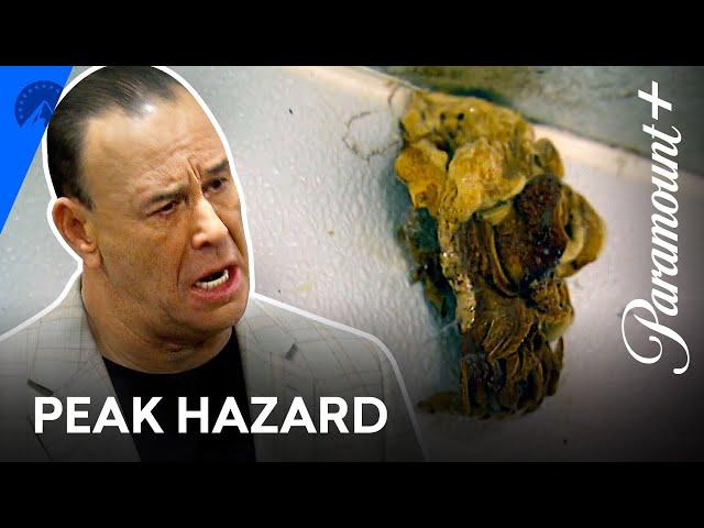 Peak Health Hazard: Mold Bar Rescue