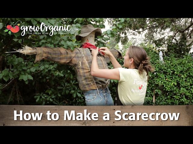 How to Make a Scarecrow - Step By Step Craft Project