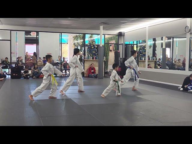 Taekwondo Poomsae (White)