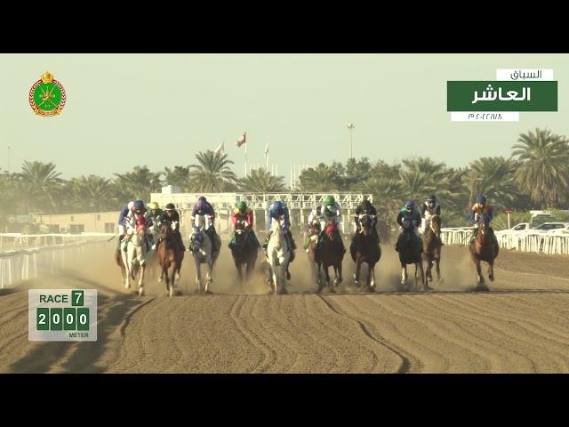 Race 7 -  Tenth  Meeting -  Rahba- 08/01/2022