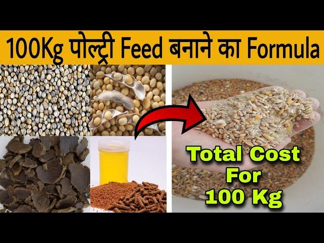 Easy Homemade Poultry Feed Making Process and Total Cost || ऐसे घर पर बनाएं पोल्ट्री फीड