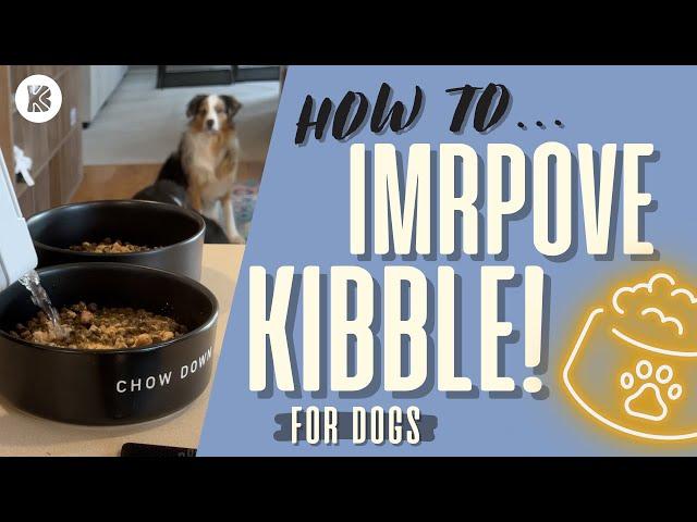 INSTANTLY UPGRADE YOUR DOG’S KIBBLE | HEALTHY KIBBLE TOPPERS FOR DOGS