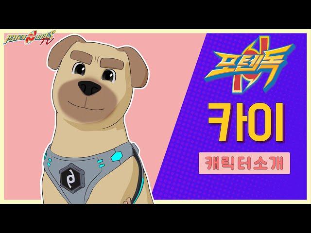 전현무강아지? 카이 l포동넷 l 포텐독 등장인물 소개 PotenDogs Character Introduction