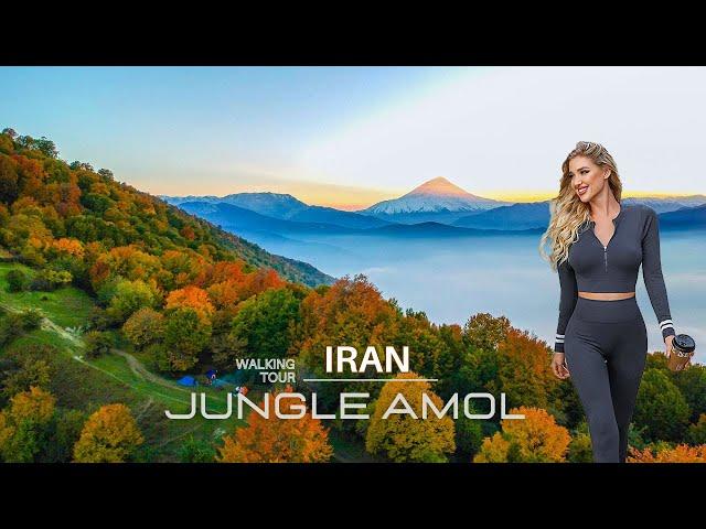 IRAN - Magic Place - Walking Tour in Amol City Jungle | Mazandaran