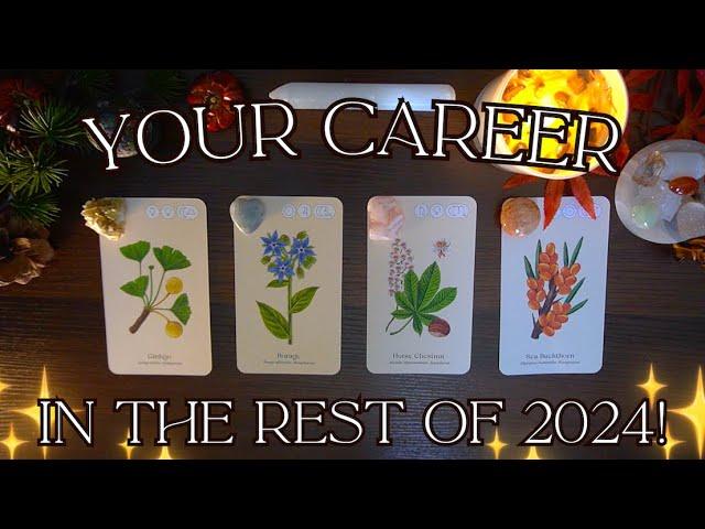 Your CAREER in the Rest of 2024!  Detailed Pick a Card Tarot Reading