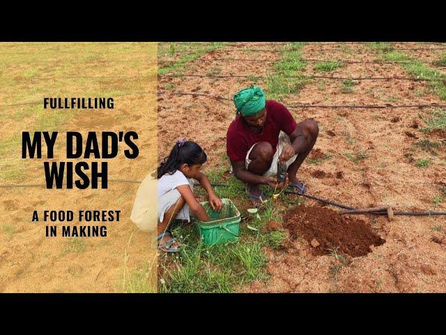 Transforming barren land into a food forest: watch us create an organic food forest from scratch