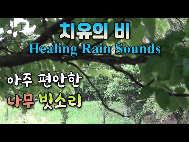 Rain sounds to calm the nervous system and relax the mind / Rain sounds for insomnia treatment