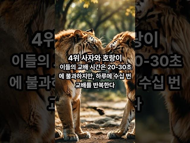 번개처럼 빠른 사랑: 교배 시간이 가장 짧은 동물 Top 5  #동물 #animals #새