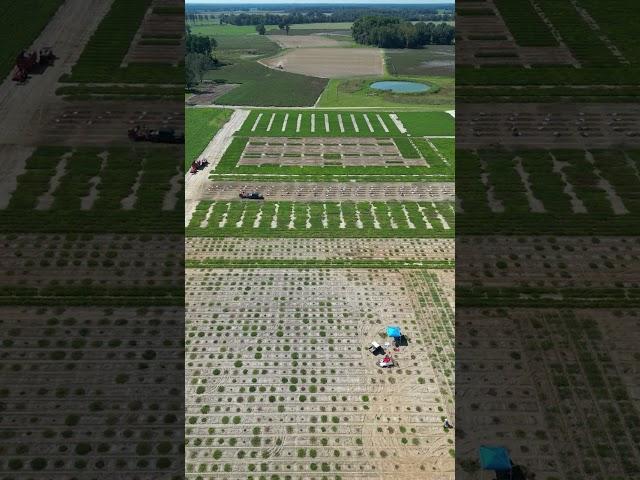Midville Sept 26, 2023 Peanut Harvest - 10