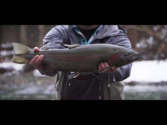 Epic Fly Fishing B-Roll edit | Steelhead Version