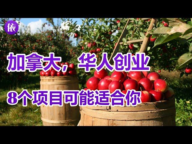 加拿大，华人创业，这8个项目可能适合你