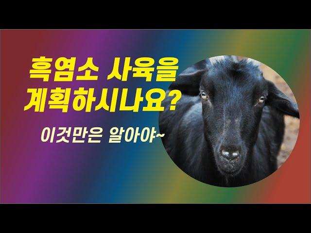 01 흑염소 사육을 계획하시나요 이것만은 알아야