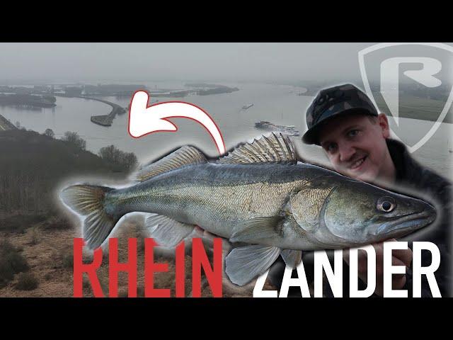 After Work Session am Rhein mit Zandertokker (Marcel Zeptner) | FOX RAGE TV Raubfischangeln