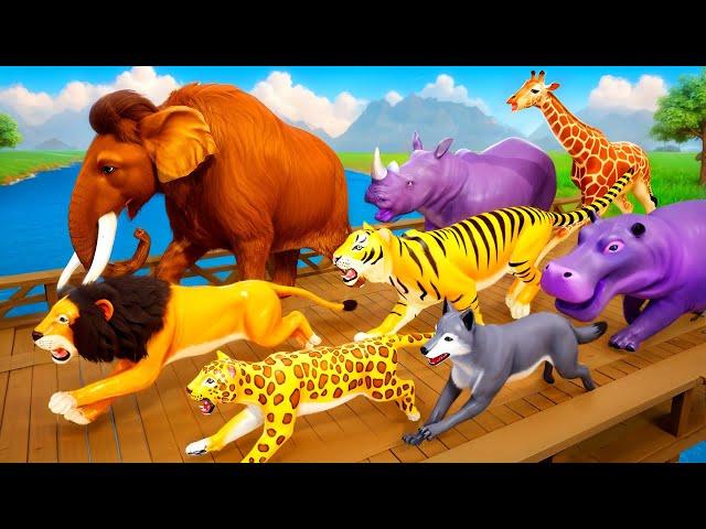 Ancient Animals vs Modern Animals Race: Mammoth, Smilodon, Cheetah & Tiger Face Off in Planet Zoo