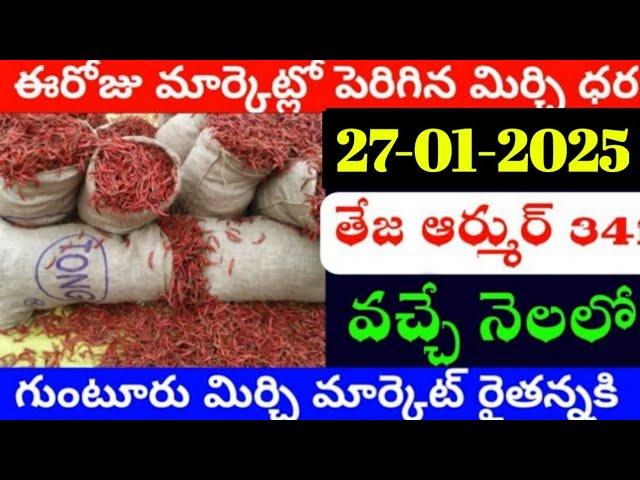 27-01-2025 గుంటూరు మిర్చి మార్కేట్ ధర || Today #MirchiRates In market ||  Mirchi Rate Increase ??