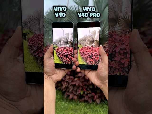 Vivo V40 vs Vivo V40 Pro Camera Test (Ultra Steady Mode) #vivo #shorts