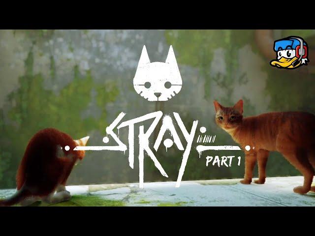  [Stray] We go on an Adventure!  | Part 1 | LiamxF