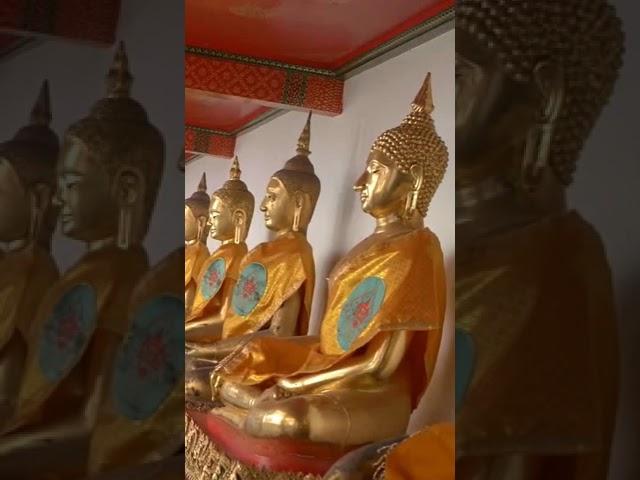 Thailand buddha statues#shorts #viral #buddha #budha #youtubeshorts