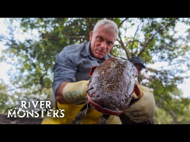 River Monsters Full Episode - Season 3, Episode 6 - Electric Executioner