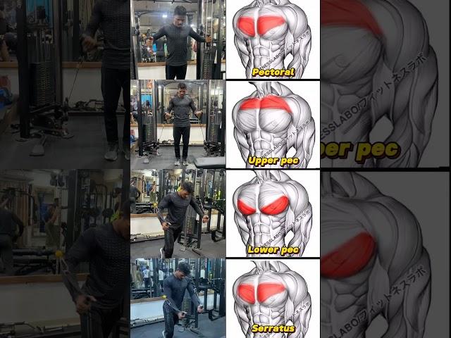 Full chest workout with cable machine  #excercisetips #chesttricepworkout  #shortvideo