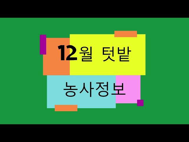 {텃밭농부 #095} 12월 텃밭농사 정보.텃밭농사.월별농사정보.텃밭정보