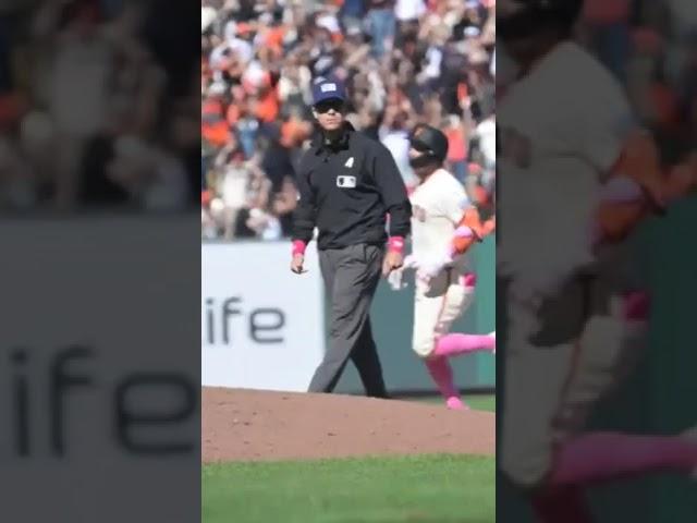 Crowd goes nuts after Casey Schmidt's walkoff hit #mlb #baseball #walkoff #giants