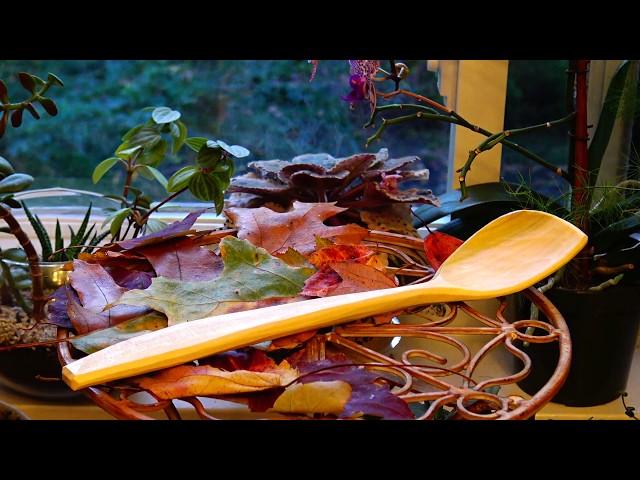 Spoon Carving Start to Finish