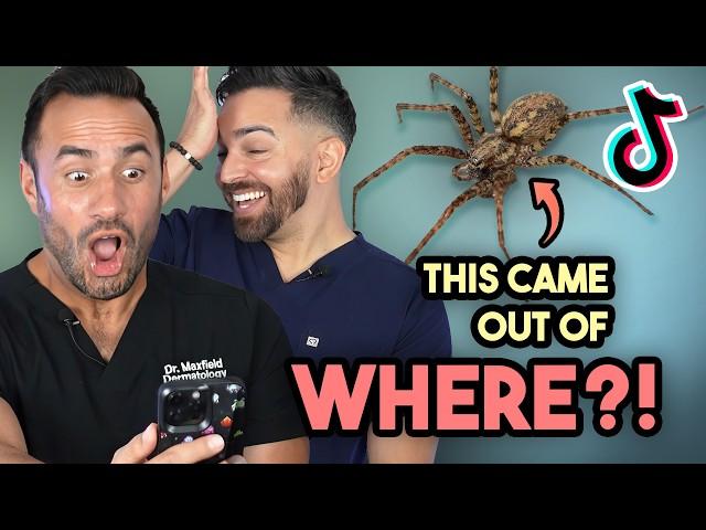 Doctors React to Wild Viral Videos!