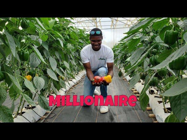 He Makes Averagely 30K From Establishing Greenhouse/ Open Field Modern Farms For People In Ghana 