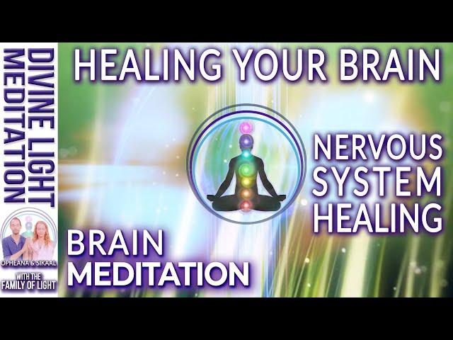 BRAIN MEDITATION ~ HEALING NERVOUS SYSTEM & HEALING BRAIN - CENTRAL NERVOUS SYSTEM HEALING