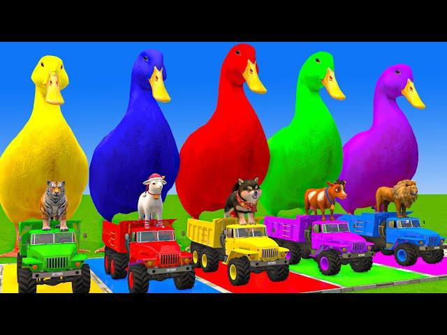 5 Giant Duck Cartoon,Cow,Mammoth,Tiger,Lion,Dinosaur, Paint Wild Animals Crossing Fountain Animation