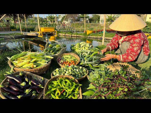 Harvesting luffa, okra, spinach, eggplant, corn, tomatoes, broccoli, chili, snake gourd #gardening