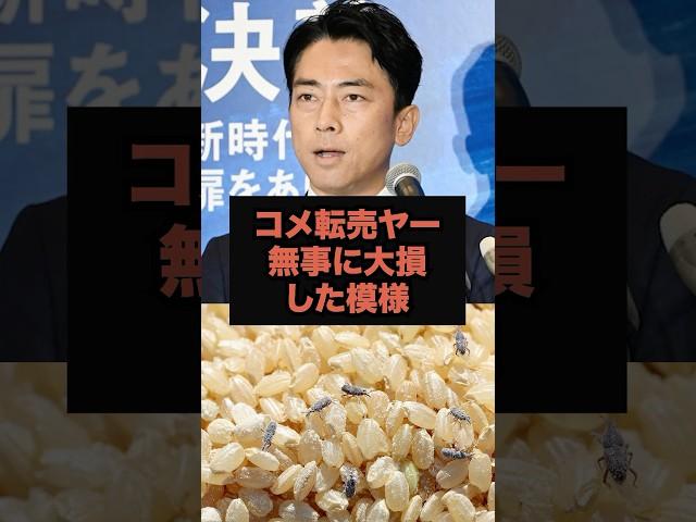 【破産】コメで一発狙った転売ヤー、結果こうなりました#石破茂#小泉進次郎#米不足#備蓄米#shorts#農協