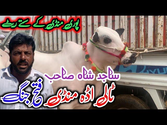 Today domail mandi fateh jang  latest update ll part 3 ll taxila mandi ll jamil tv ll