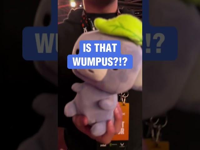 NO TOUCHING DISCORD WUMPUS!! 