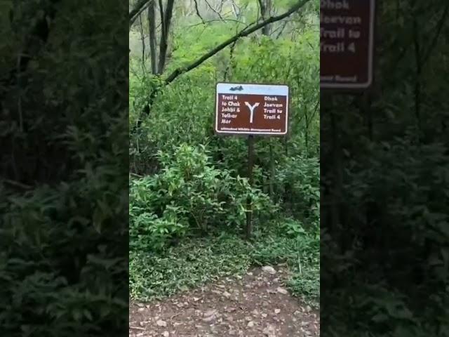 Alluring View of Margalla Hills Trail 4 Islamabad || Hiking Trail 4 Islamabad || Margalla Hills