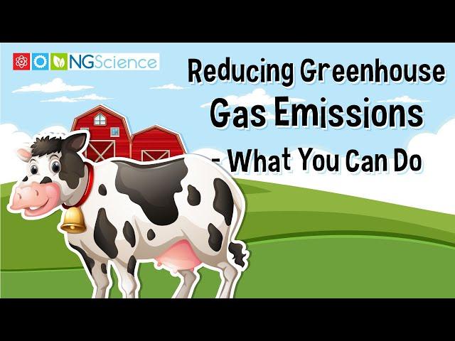 Reducing Greenhouse Gas Emissions – What You Can Do