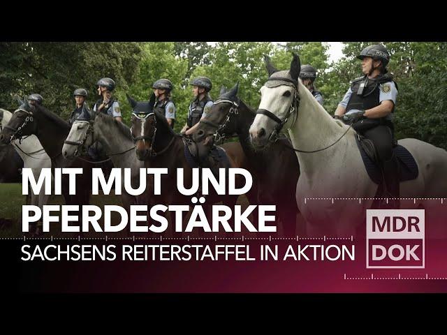 Sattelfest - die Reiterstaffel der Polizei Sachsen im Einsatz | Entdecke den Osten | MDR DOK