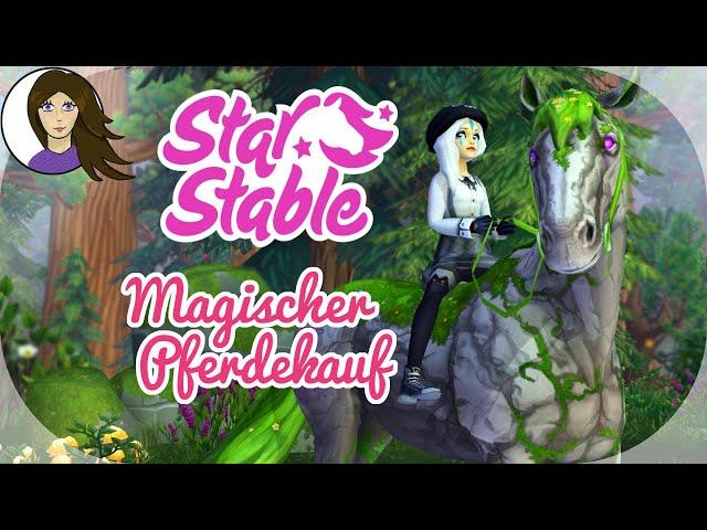 Magischer PFERDEKAUF ️ Ich sehe sie zum ersten Mal  SSO // Star Stable Online