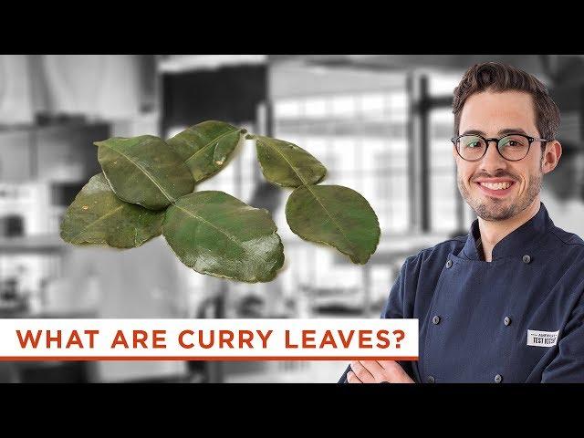 Why Should You Cook with Fresh Curry Leaves?