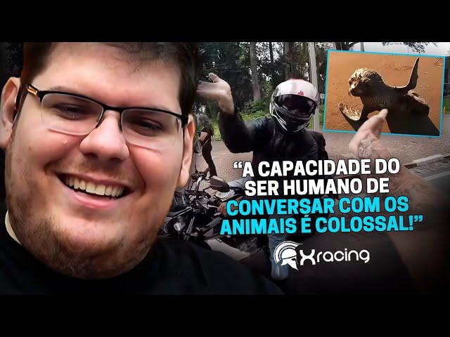 CASIMIRO REAGE: OBSERVAÇÕES DIÁRIAS (EP. 273) O CAPACETE É OPCIONAL - XRACING | Cortes do Casimito