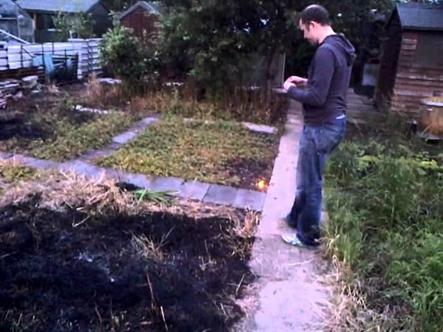 How to clear an allotment (professionally) - Part 1