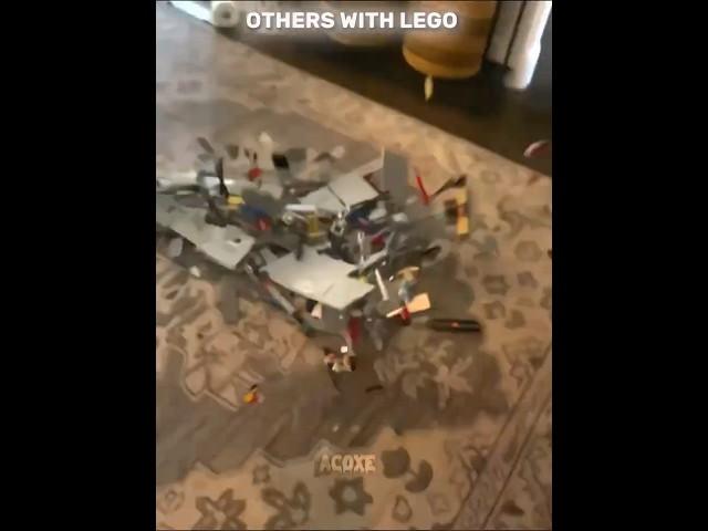 Others with Lego