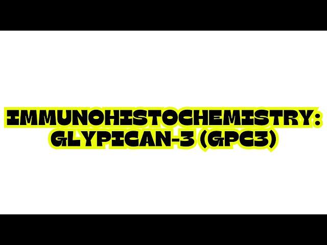 IMMUNOHISTOCHEMISTRY: GLYPICAN-3 (GPC3)