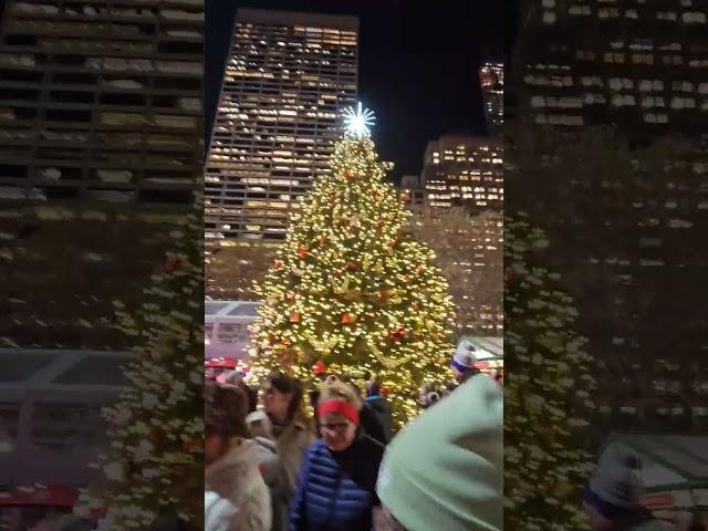 Winter Village At Bryant Park Christmas Tree In Midtown, Manhattan, New York City